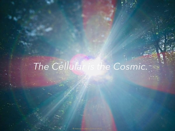 TheCellularIsTheCosmic_page-0001 TheCellularIsTheCosmic_page-0001