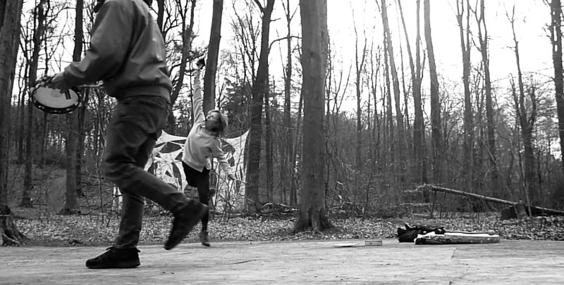 WaldPlatform WaldPlatform