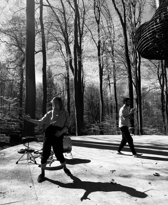 Tanzplattform Tanzplattform