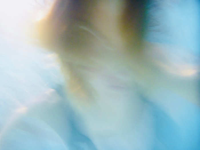 DissolvingTwo DissolvingTwo