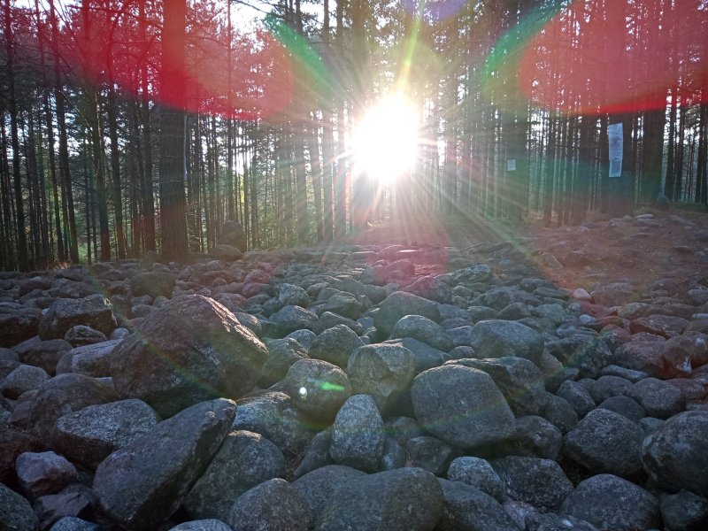 20230711_201953 20230711_201953