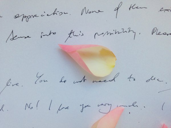 Sense%20Into%20This%20Possibility Sense%20Into%20This%20Possibility