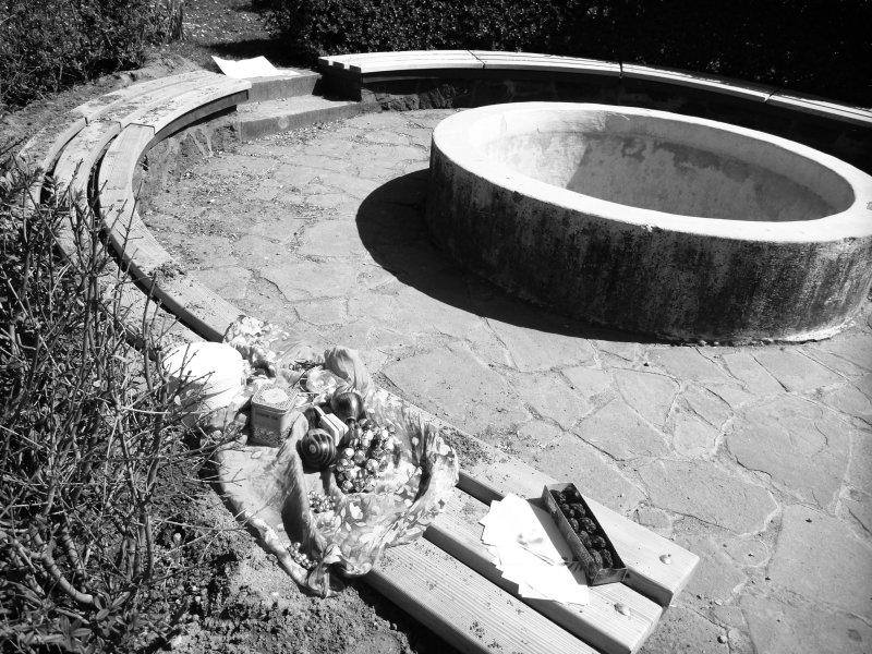 WellCircle WellCircle