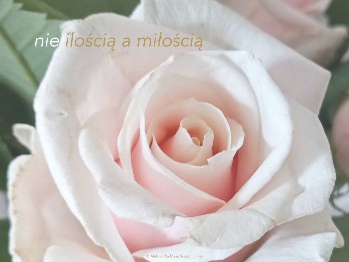 nieilos%CC%81cia%CC%A8ami%C5%82os%CC%81cia%CC%A8_page-0001%20%281%29 nieilos%CC%81cia%CC%A8ami%C5%82os%CC%81cia%CC%A8_page-0001%20%281%29