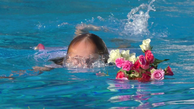 DANCEVIIRoses DANCEVIIRoses