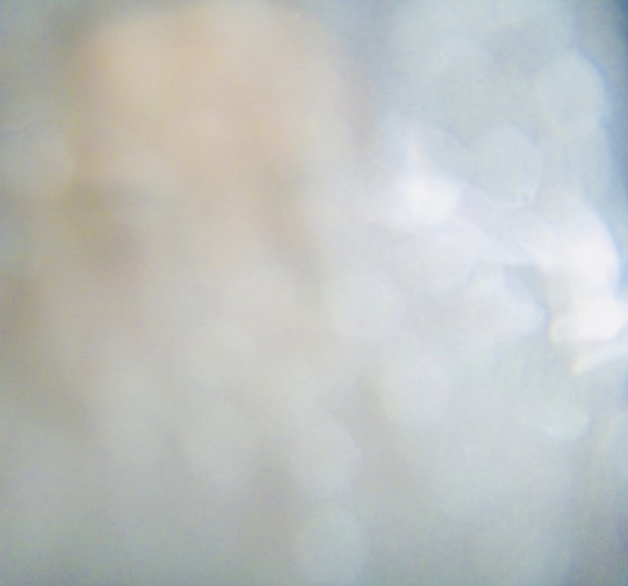 SeeMeYouThree SeeMeYouThree